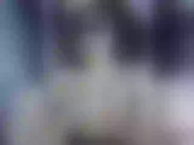 Live sex webcam photo for I-HollyMay-I #276551971