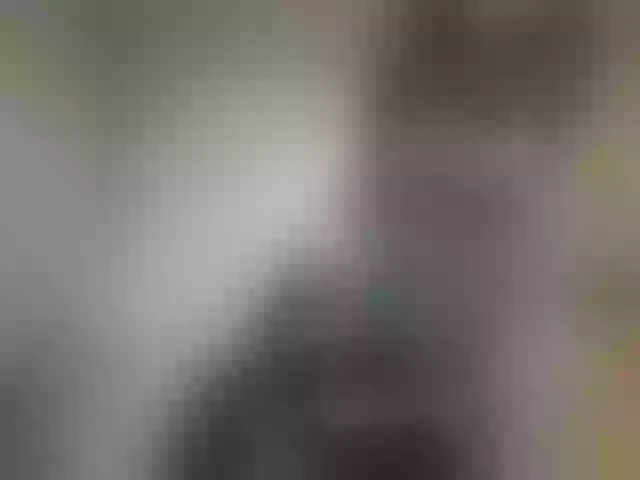 Live sex webcam photo for IAMPENNY #275752242