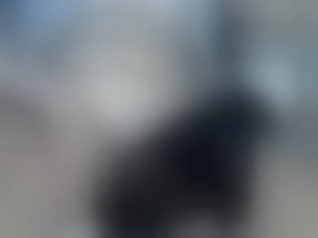Live sex webcam photo for IFannyLove #294018085