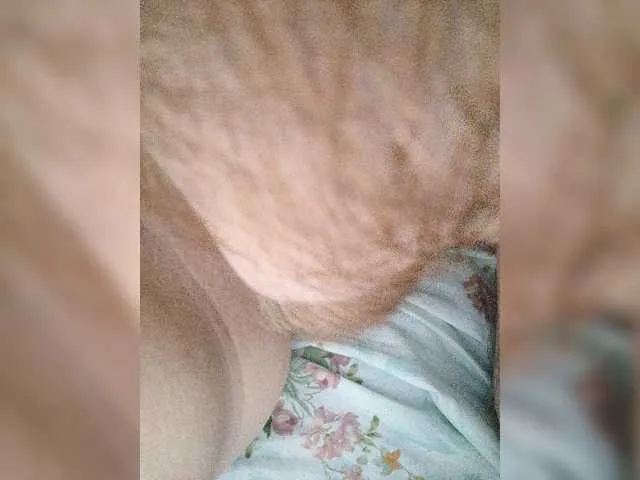 Live sex webcam photo for INGENIOUSU #275757201