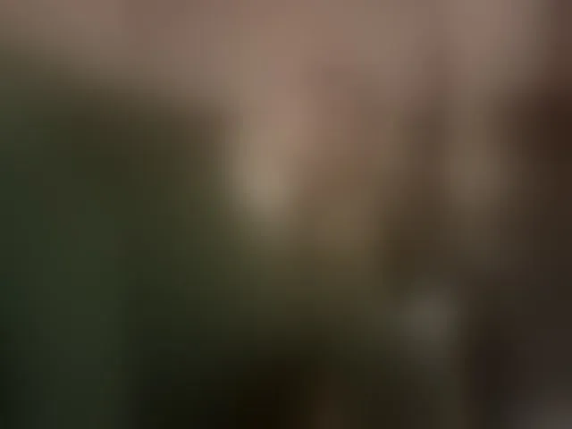 Live sex webcam photo for INXS-INXS #292545871