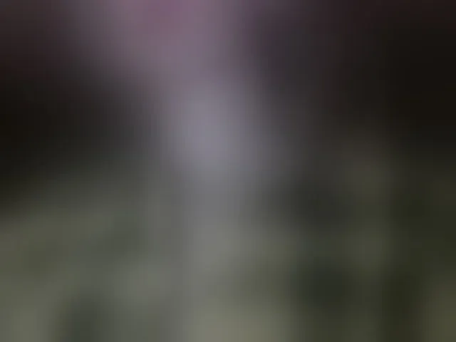 Live sex webcam photo for INXS-INXS #293616193