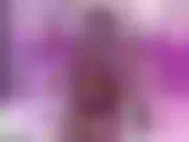 Live sex webcam photo for IbbieMars #273832723