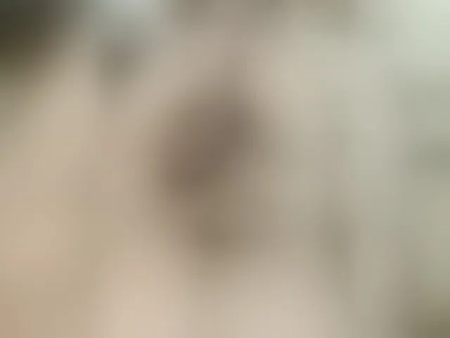 Live sex webcam photo for Igorbil #293872407