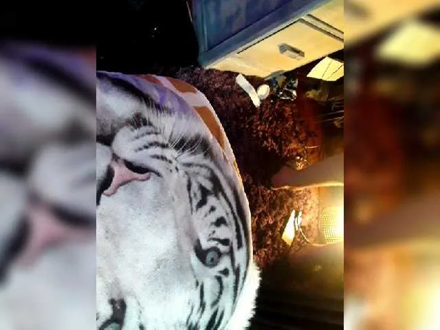 Live sex webcam photo for Ijamesrockerm #273714413