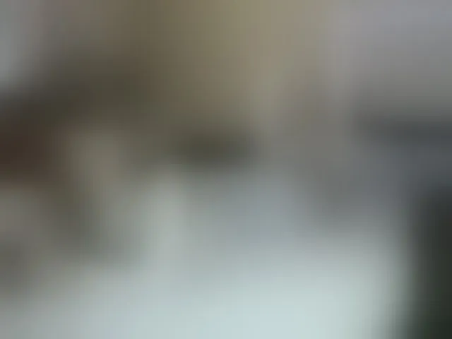 Live sex webcam photo for IlonaArizona #293180428