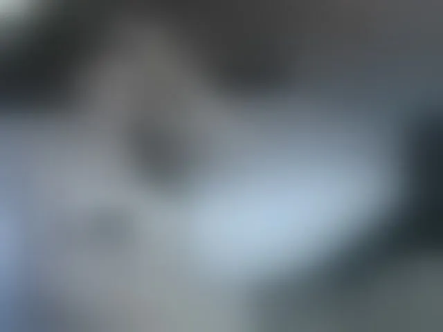 Live sex webcam photo for IlonaArizona #293931991