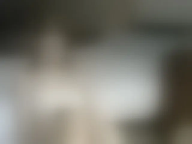 Live sex webcam photo for IlonaArizona #293954154