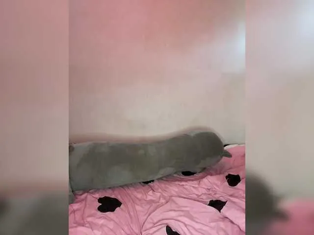 Live sex webcam photo for IlonaSai #291279115