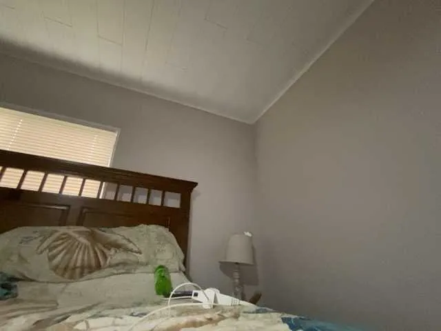 Live sex webcam photo for Imaloonie56 #278097703