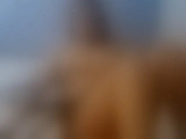 Live sex webcam photo for IndianSutraX #292840521