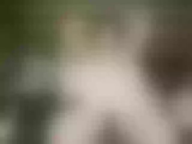 Live sex webcam photo for Indiantasha #287986764