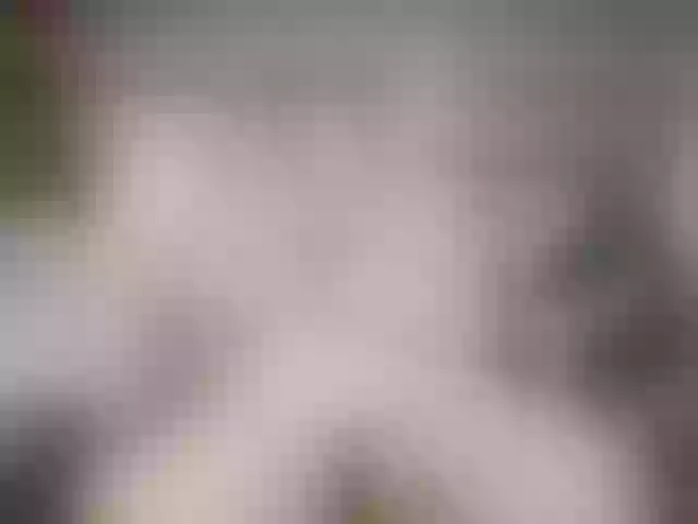 Live sex webcam photo for Indiantasha #287986959