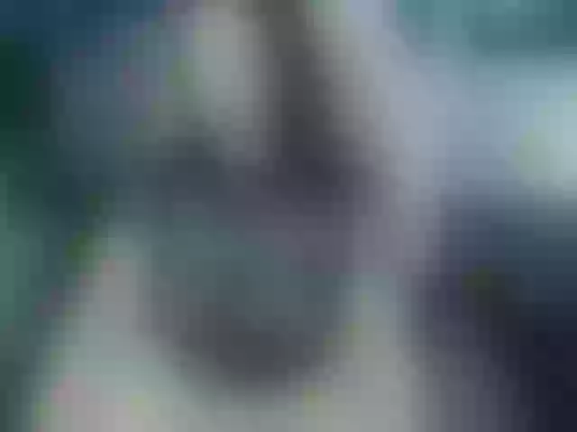 Live sex webcam photo for Indica #290832632