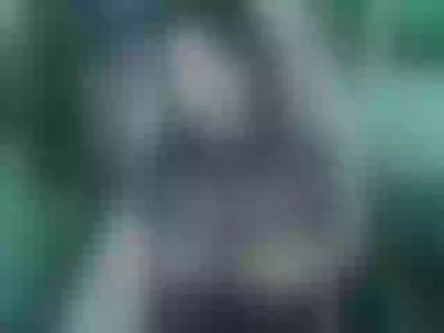 Live sex webcam photo for Indica #291026556
