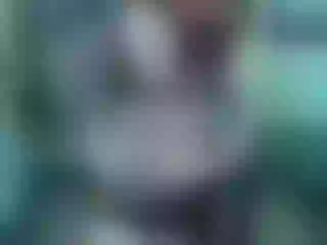 Live sex webcam photo for Indica #291351361
