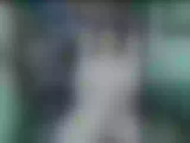 Live sex webcam photo for Indica #291924791