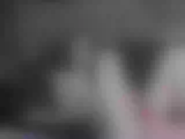 Live sex webcam photo for Inesbright #272941286