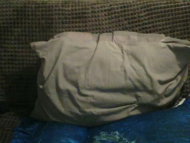 Live sex webcam photo for IngaQAce #287969144