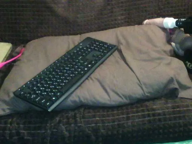 Live sex webcam photo for IngaQAce #287969196