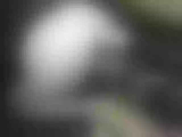 Live sex webcam photo for IngaQAce #287969249