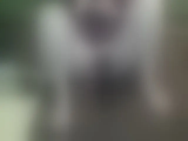 Live sex webcam photo for IngaQAce #287969266