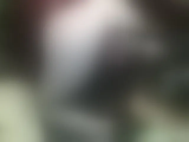 Live sex webcam photo for IngaQAce #287969276