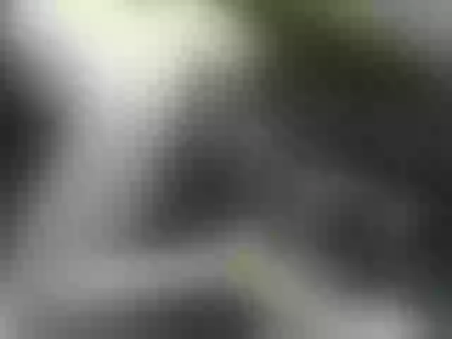 Live sex webcam photo for IngaQAce #287969299