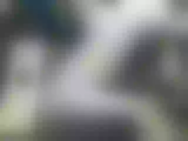 Live sex webcam photo for IngaQAce #287969322