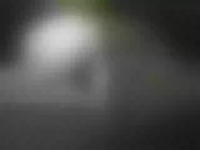 Live sex webcam photo for IngaQAce #287969333