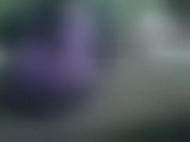 Live sex webcam photo for IngaQAce #293439692