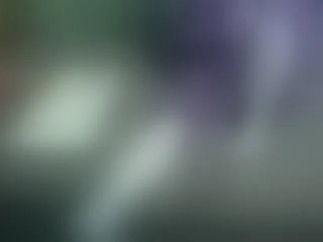Live sex webcam photo for IngaQAce #293445626