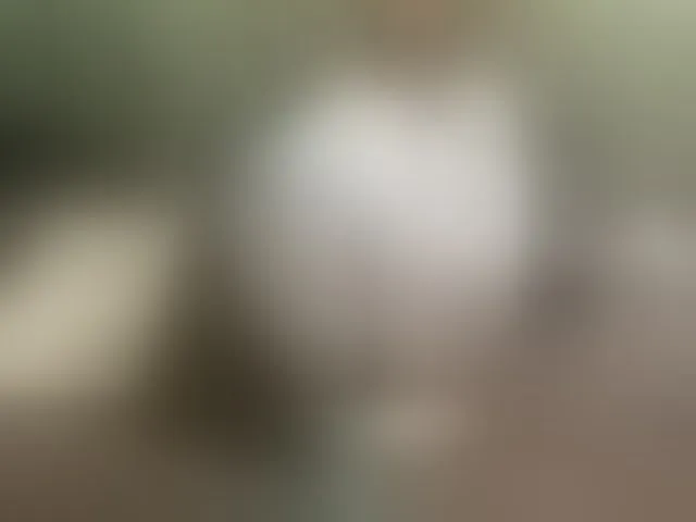 Live sex webcam photo for IngaQAce #293625986