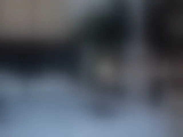 Live sex webcam photo for InvitingTina #276944638