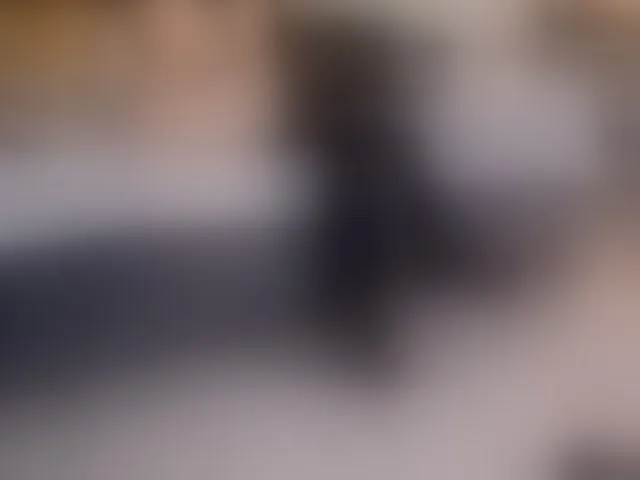Live sex webcam photo for InvitingTina #293068442