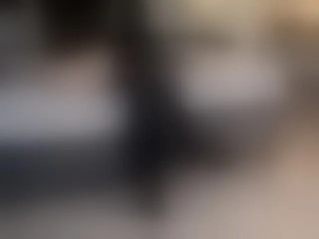 Live sex webcam photo for InvitingTina #293687774