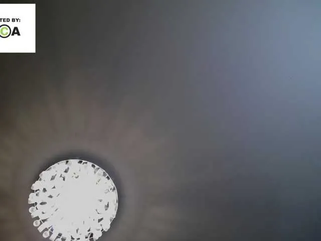 Live sex webcam photo for Irishka14 #288969126