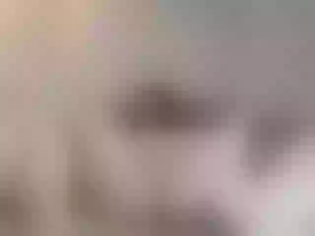Live sex webcam photo for Iriskasweety #291943075