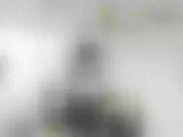 Live sex webcam photo for IsXLoves #288077897