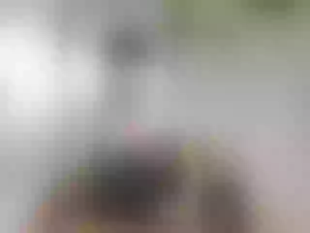 Live sex webcam photo for IsXLoves #288077902