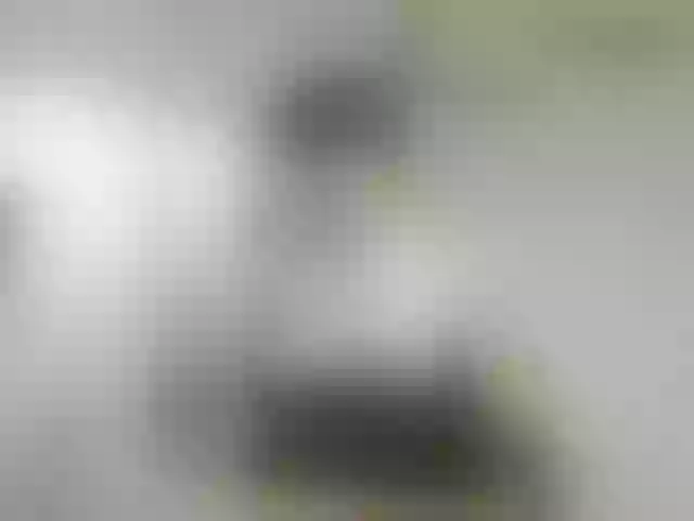 Live sex webcam photo for IsXLoves #288077906