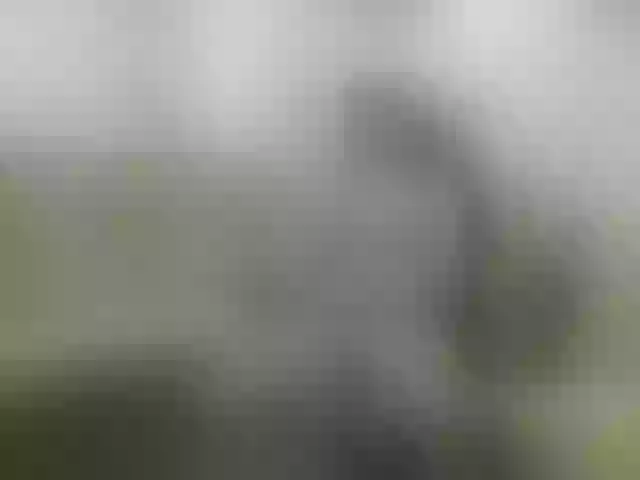 Live sex webcam photo for IsXLoves #291091084