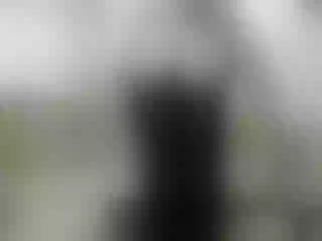 Live sex webcam photo for IsXLoves #291365449