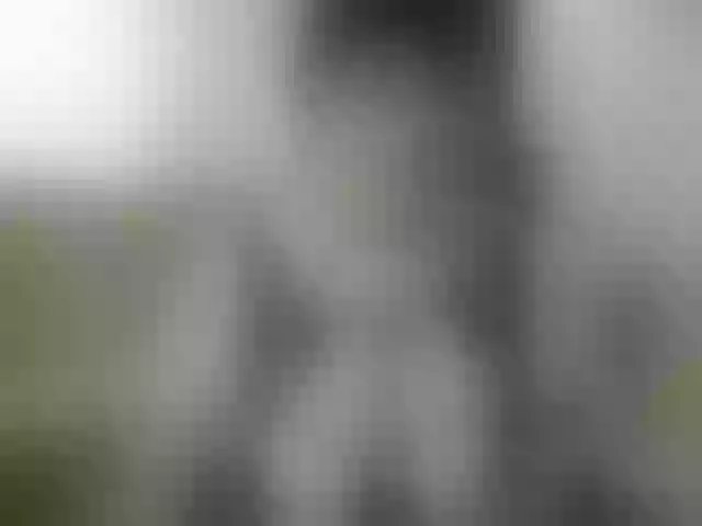 Live sex webcam photo for IsXLoves #291623168