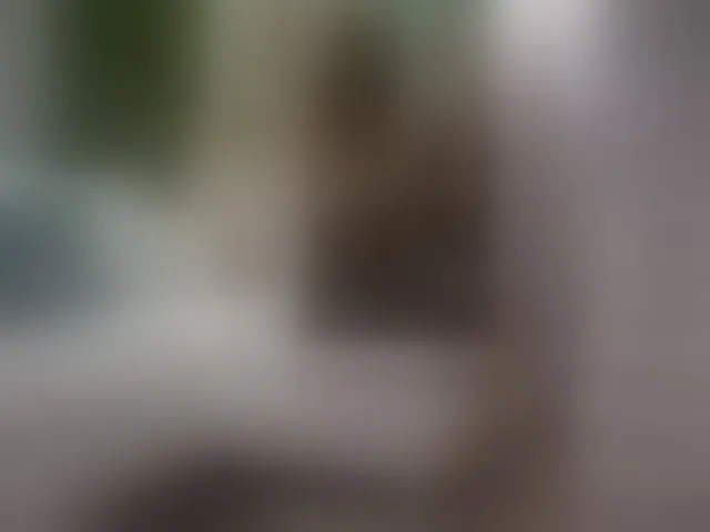 Live sex webcam photo for IsadoraReyes #293773447