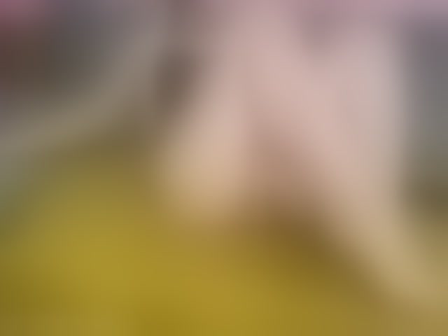 Live sex webcam photo for Isilib-kisa #294119287