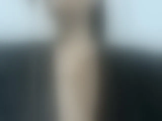 Live sex webcam photo for IvonneDuarte #293321286
