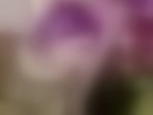 Live sex webcam photo for Ivypoison10 #293888089