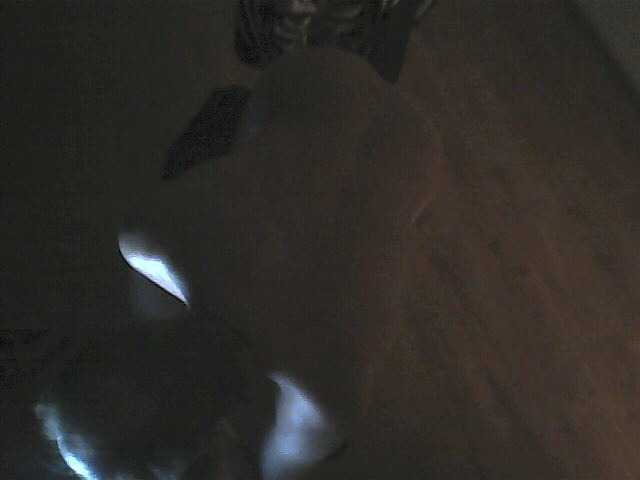 Live sex webcam photo for JaPipik14 #276386925