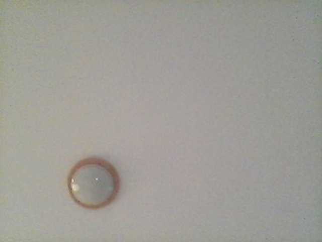 Live sex webcam photo for JaPipik14 #276444719